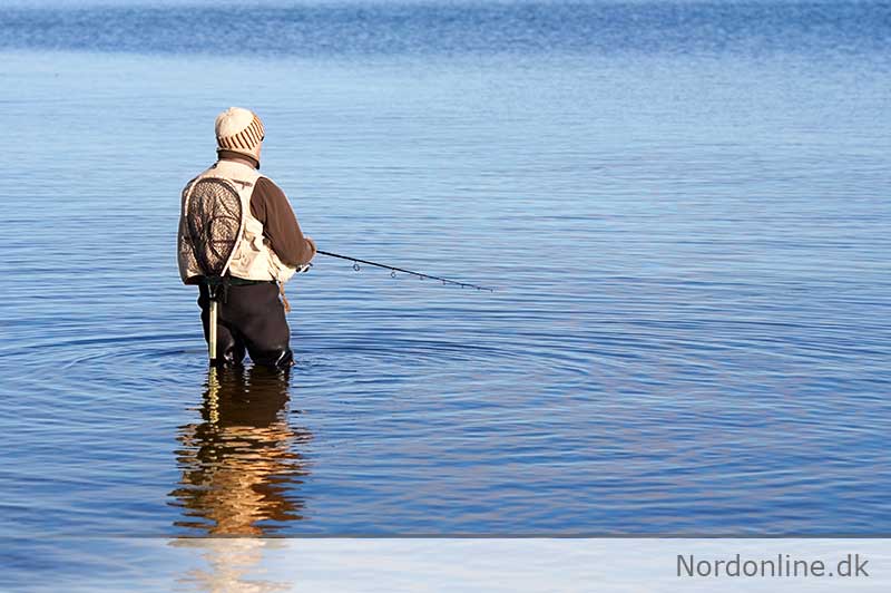 fiskeri