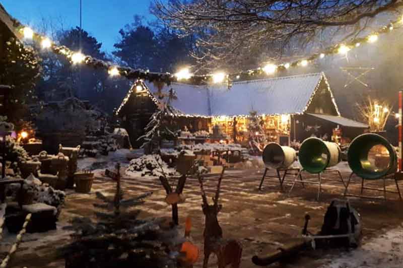 gurre-køb-salg-af-juletræ-nordsjælland