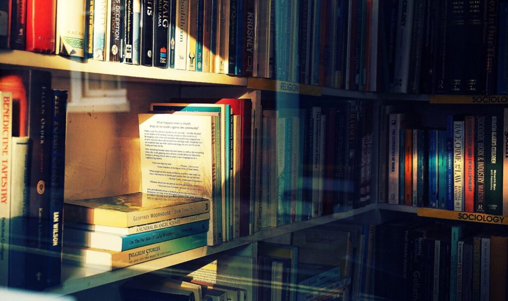 Bøger på solbeskinnede hylder i et bibliotek
