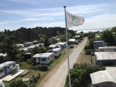 Lynæs Camping – foto af campingpladsen