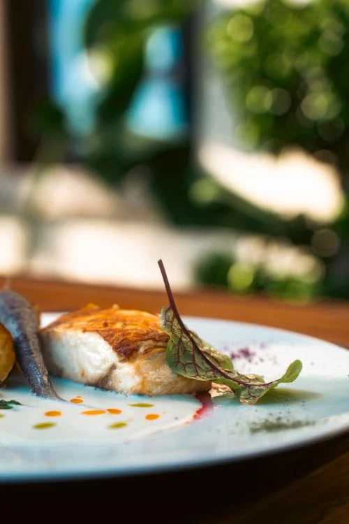 Fisk eller skaldyr anrettet med sauce og grønt