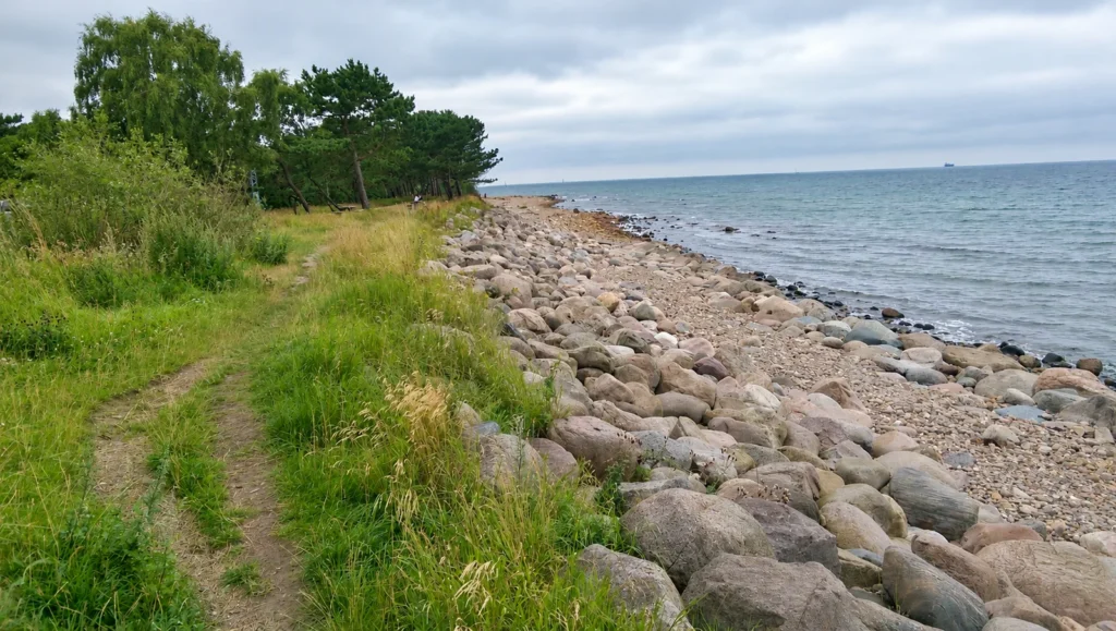 Stenet kyst og grøn sti ved Hornbæk Plantage