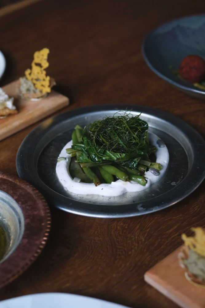 MOTA · restaurantoplevelse