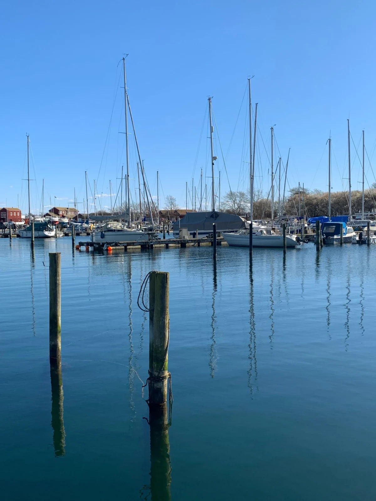 Sejlbåde og spejlinger i Nivå Havn under blå himmel